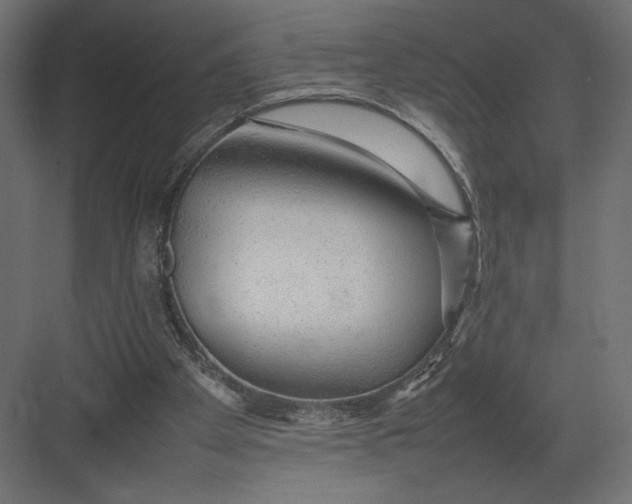 X0000082140105200702092135