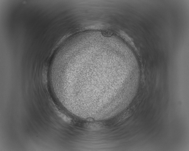 X0000082140106200702092135