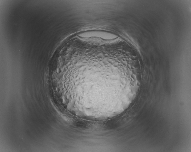 X0000082140107200702092135