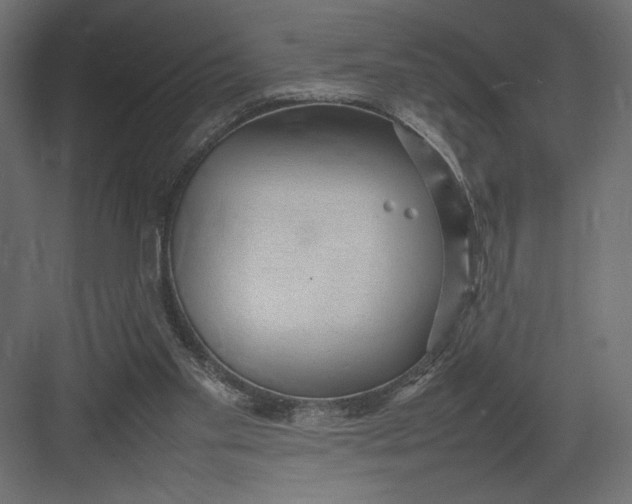 X0000082140109200702092135