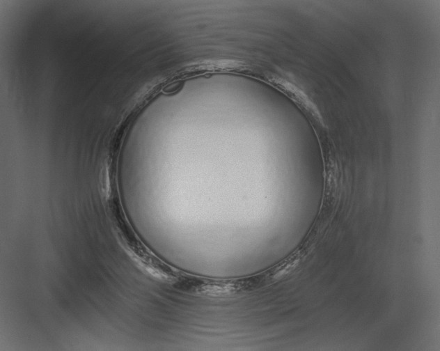 X0000082140110200702092135