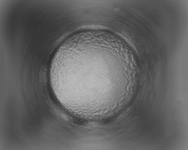 X0000082140111200702092135