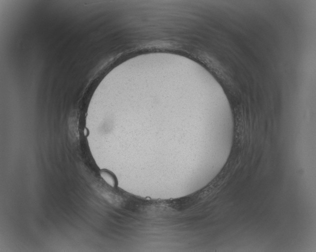 X0000082140112200702092135