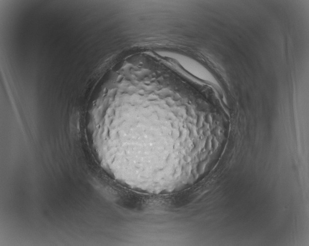 X0000082140115200702092135