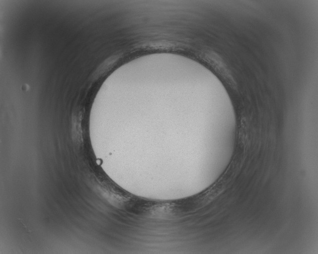 X0000082140116200702092135