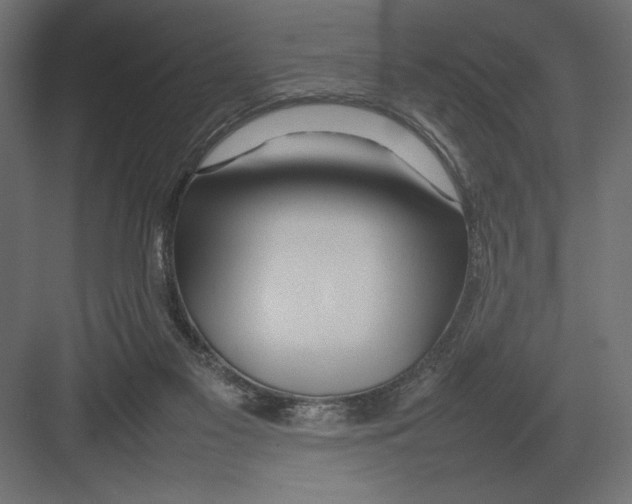 X0000082140117200702092135