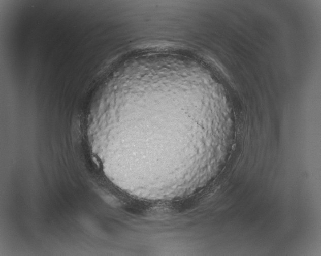 X0000082140119200702092135