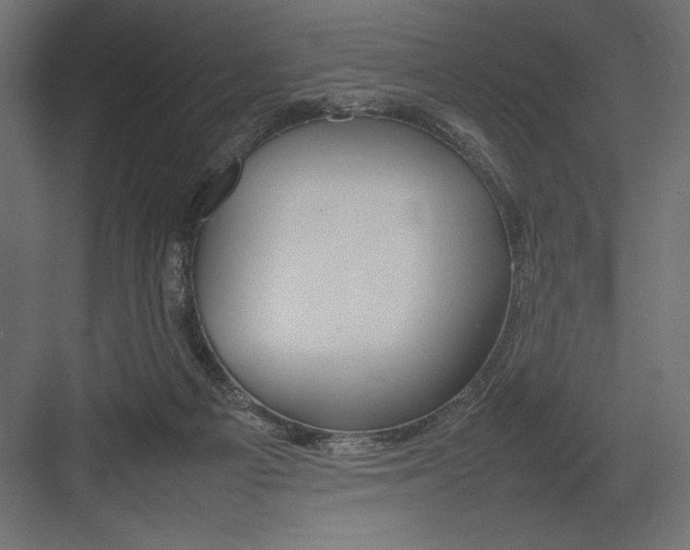 X0000082140121200702092135