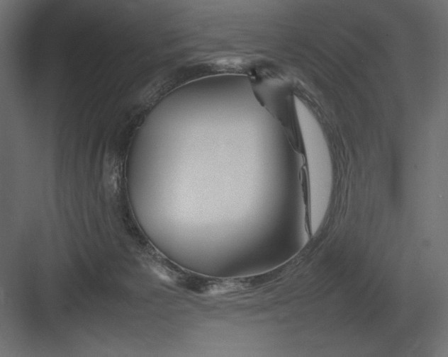 X0000082140125200702092135