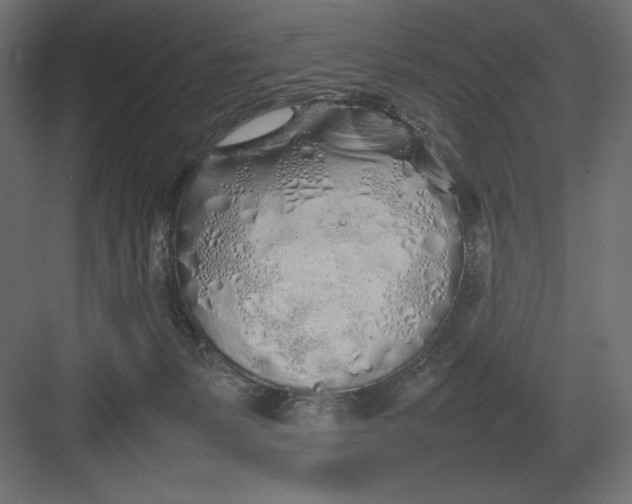 X0000082140127200702092135