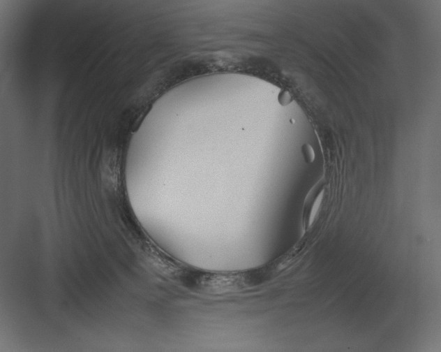 X0000082140129200702092135