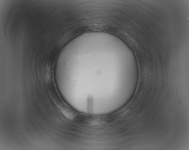 X0000082140130200702092135