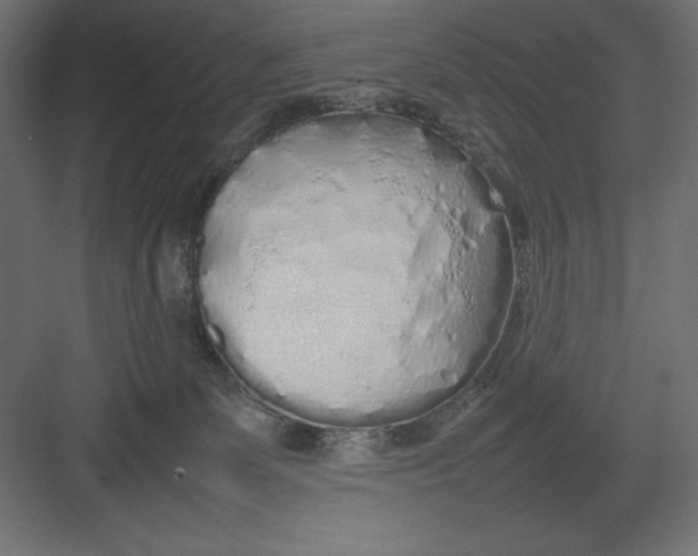 X0000082140131200702092135