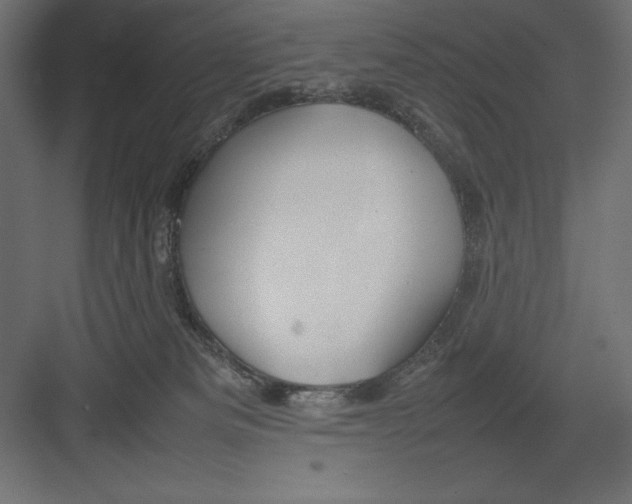 X0000082140133200702092135