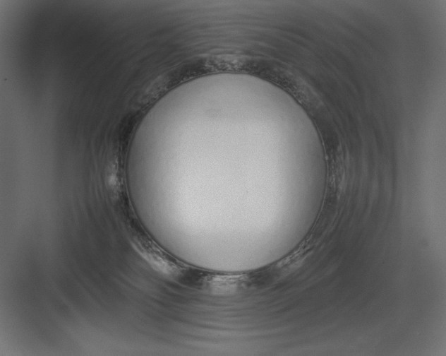 X0000082140134200702092135