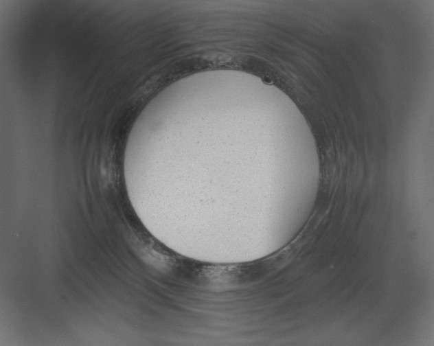 X0000082140136200702092135