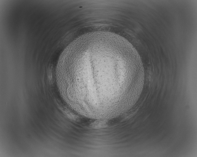 X0000082140138200702092135