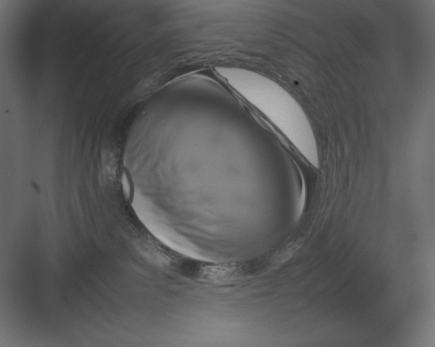 X0000082140139200702092135