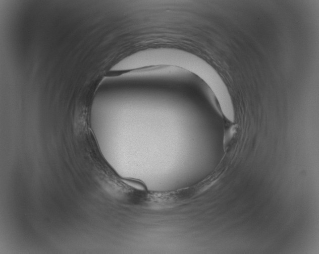 X0000082140141200702092135