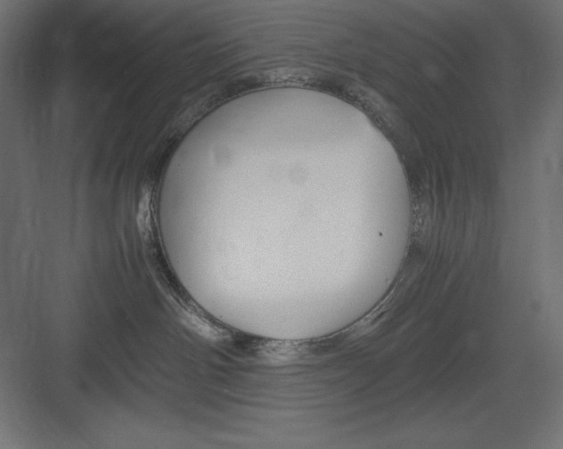 X0000082140142200702092135