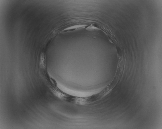 X0000082140143200702092135