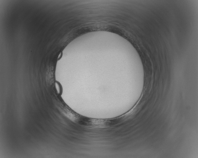 X0000082140144200702092135