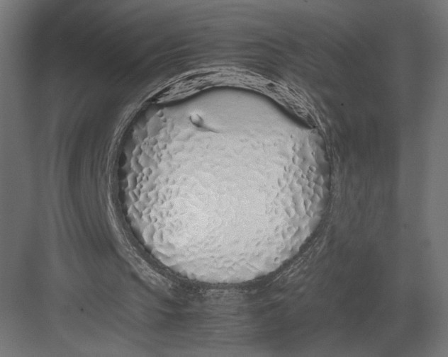 X0000082140145200702092134