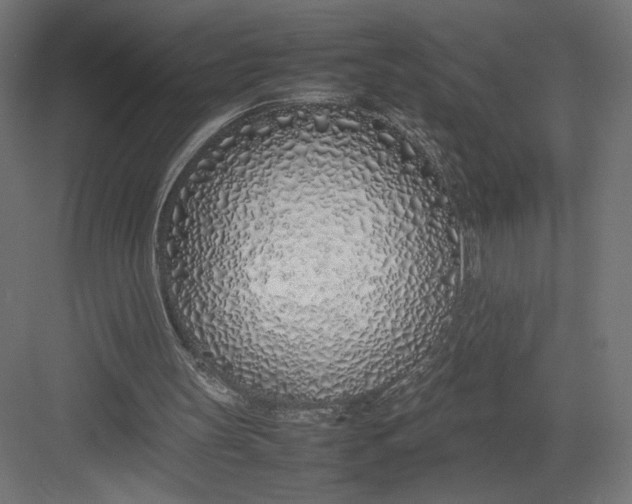 X0000082140147200702092134