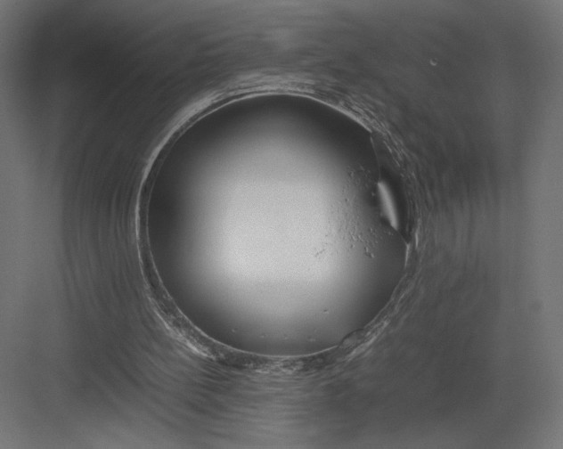 X0000082140148200702092134