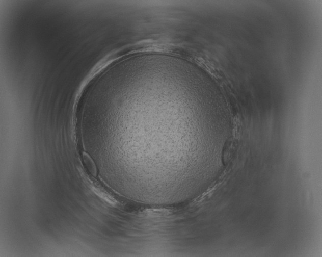 X0000082140150200702092134