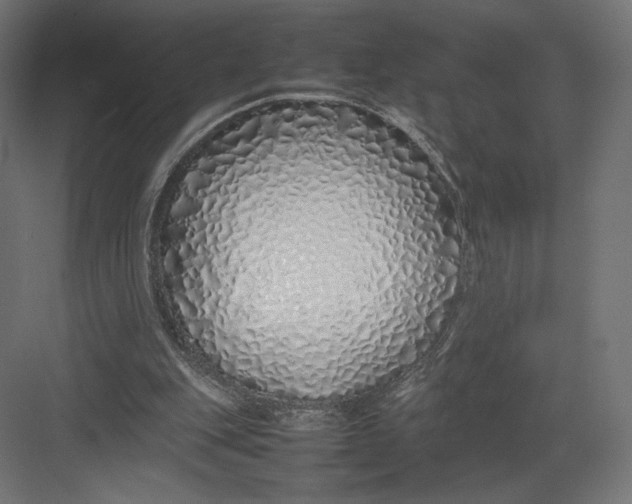 X0000082140151200702092134