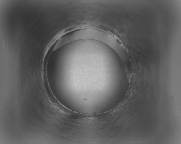 X0000082140152200702092134