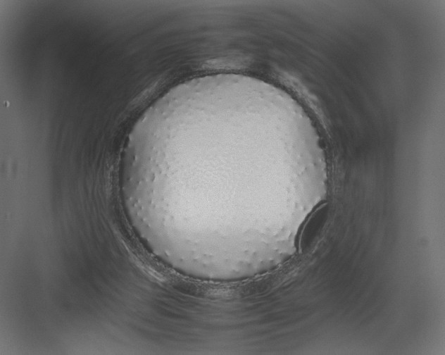 X0000082140153200702092134