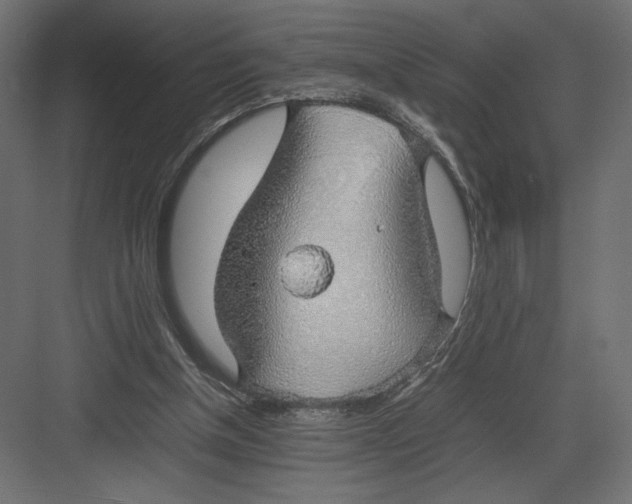 X0000082140154200702092134