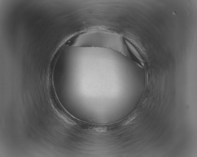 X0000082140156200702092134