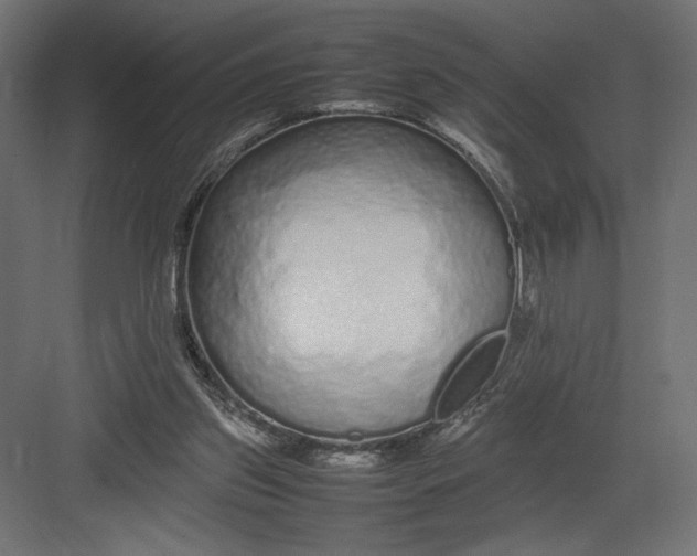 X0000082140157200702092134