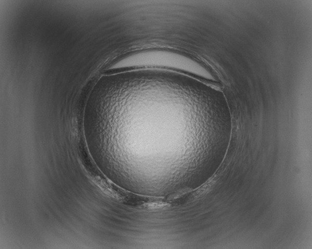 X0000082140158200702092134