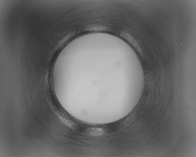 X0000082140159200702092134