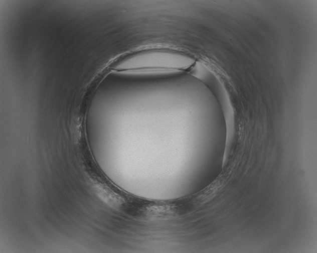 X0000082140160200702092134