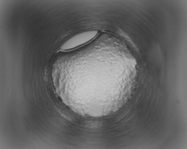 X0000082140161200702092134