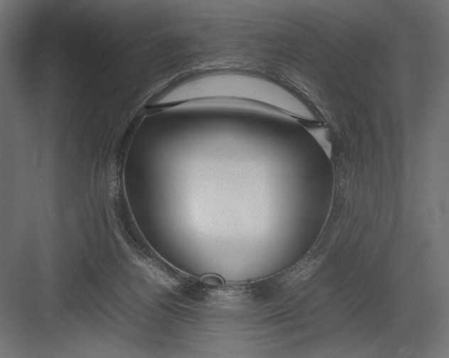 X0000082140164200702092134