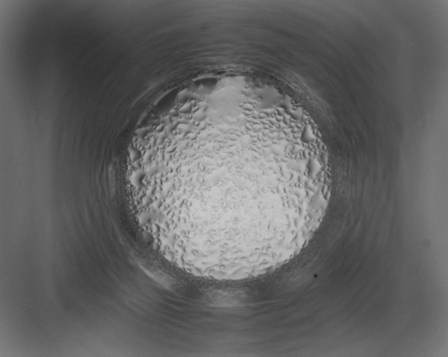 X0000082140165200702092134