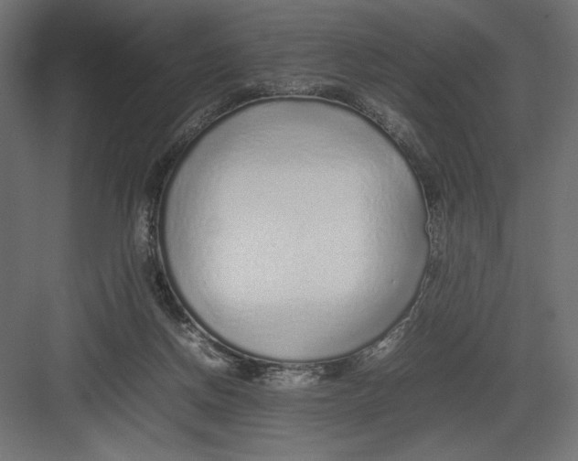 X0000082140166200702092134