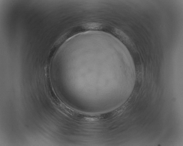 X0000082140167200702092134