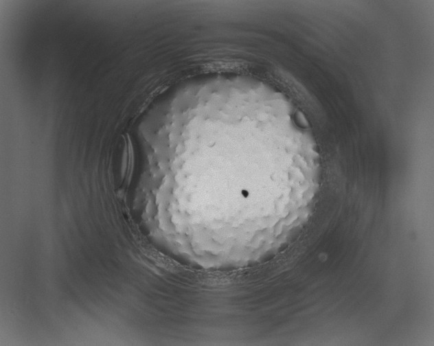 X0000082140169200702092134