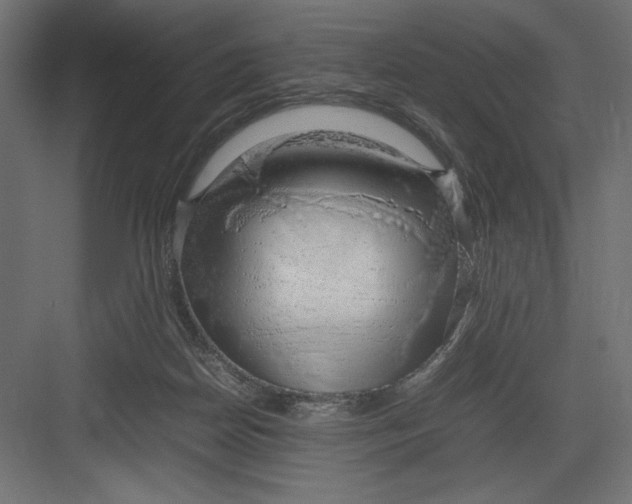 X0000082140170200702092134