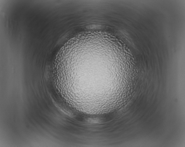 X0000082140171200702092134