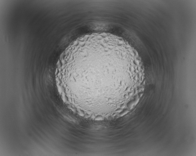 X0000082140175200702092134