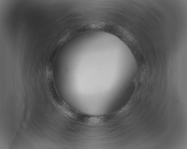 X0000082140176200702092134