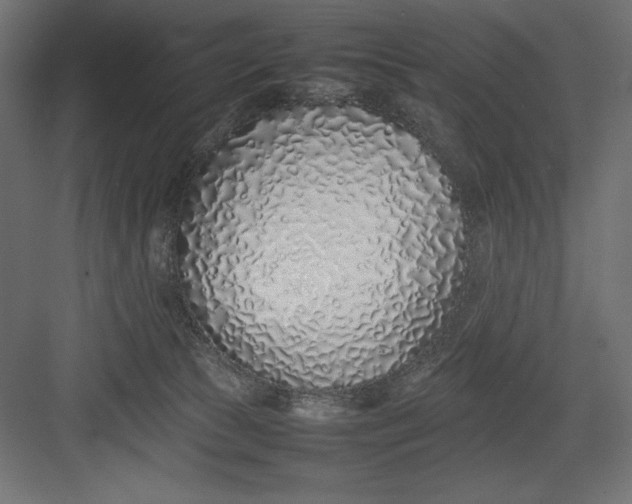 X0000082140177200702092134